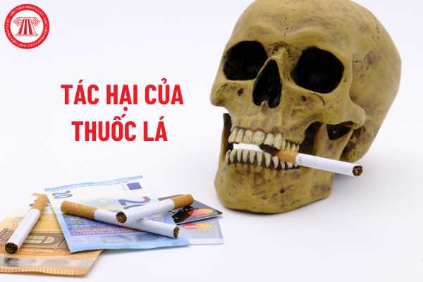 Nâng cao nhận thức về phòng chống tác hại thuốc lá